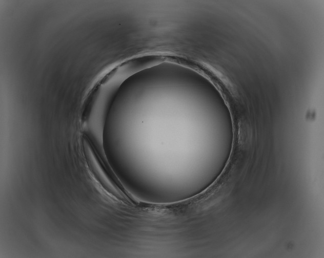 X0000097761452200803071244