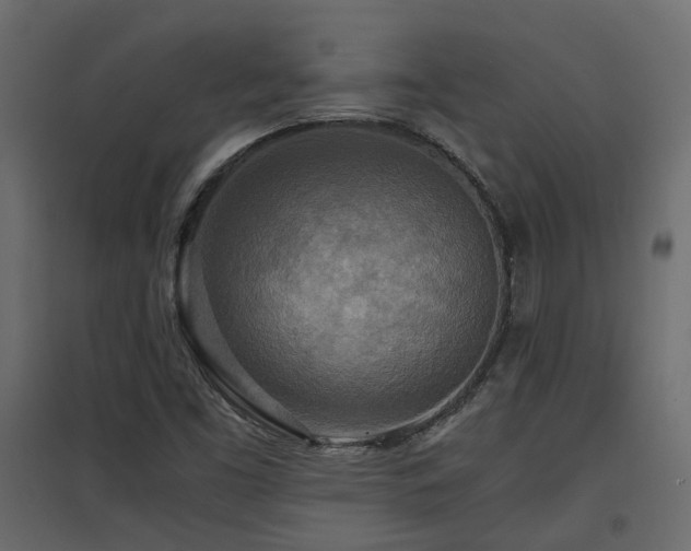 X0000097761453200803071244