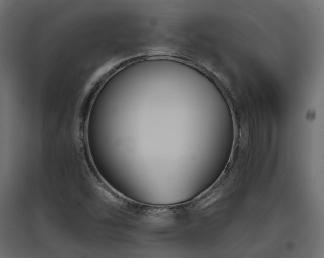 X0000097761454200803071244