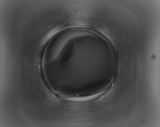 X0000097761455200803071244