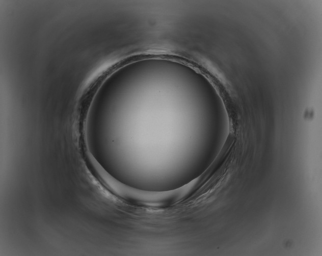 X0000097761456200803071244