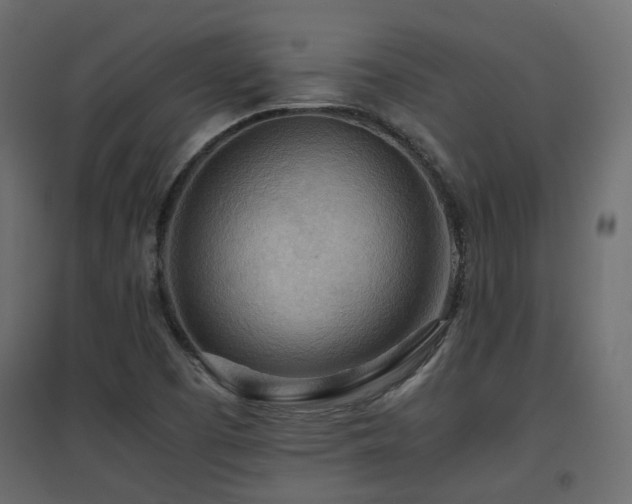 X0000097761457200803071244