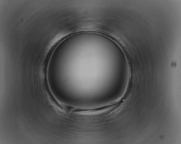X0000097761458200803071244