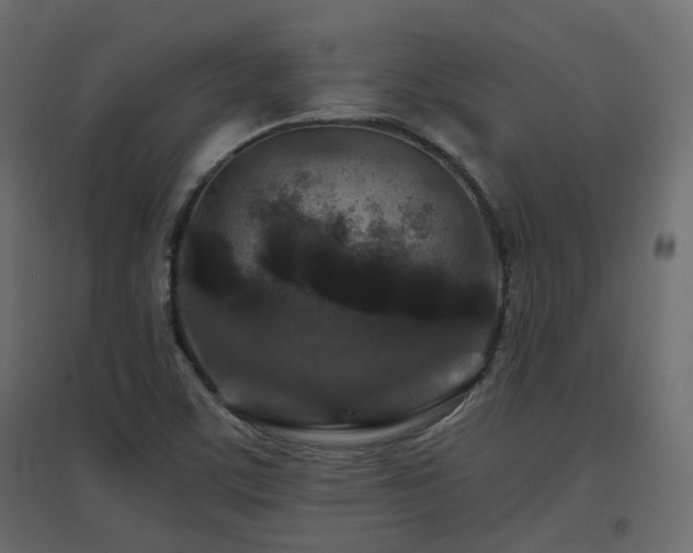 X0000097761459200803071244