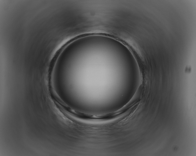X0000097761460200803071244