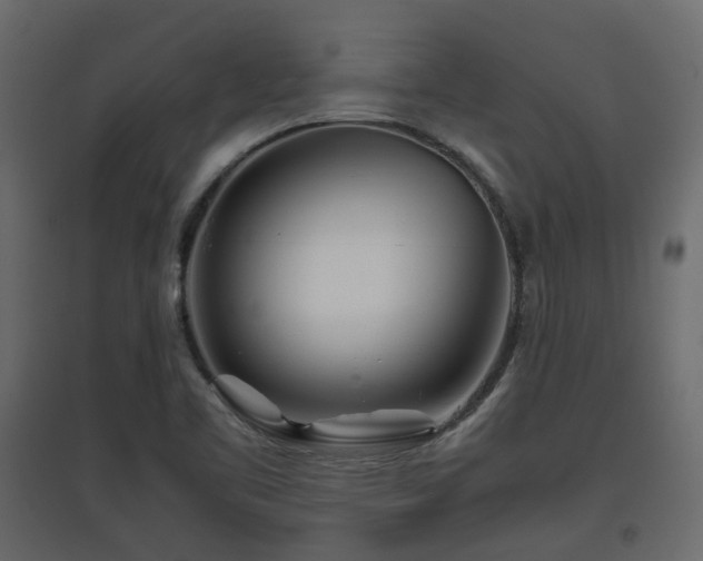 X0000097761461200803071244