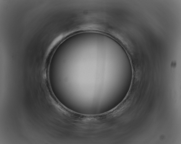 X0000097761462200803071244