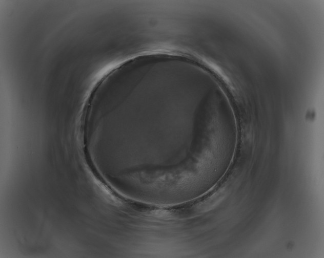X0000097761463200803071244