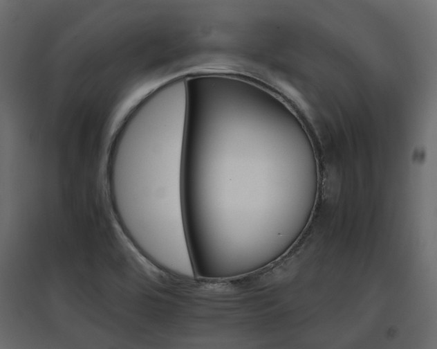 X0000097761464200803071244