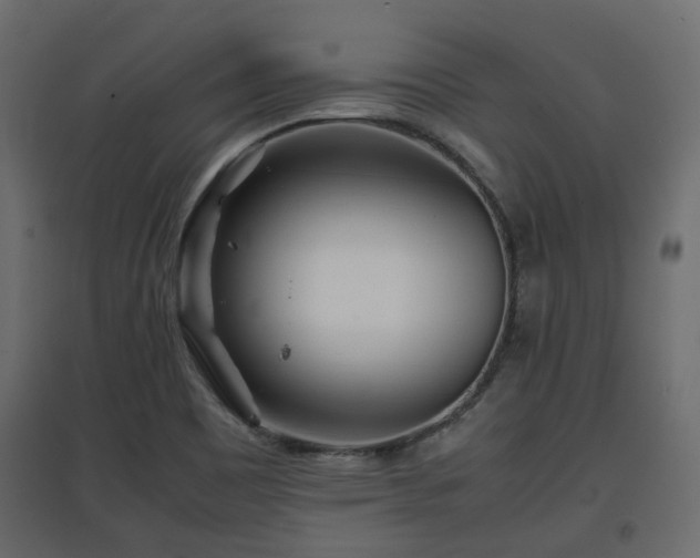X0000097761465200803071244