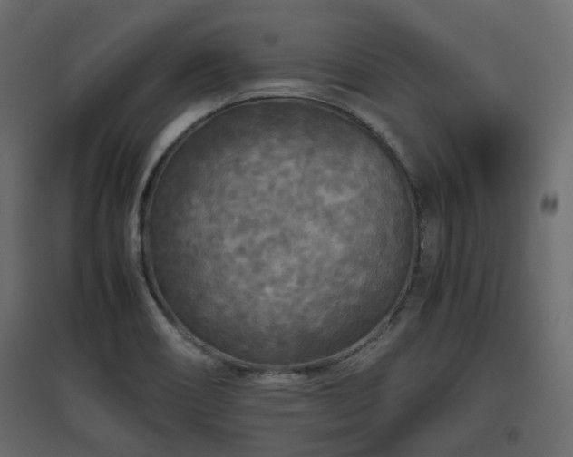X0000097761466200803071244
