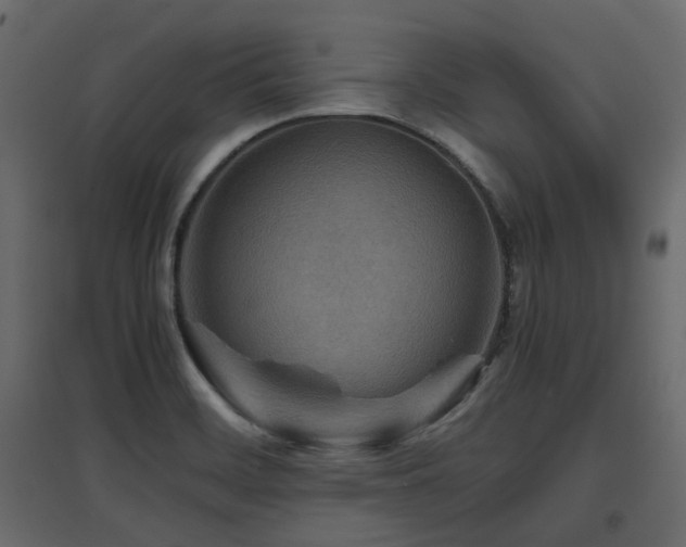 X0000097761468200803071244