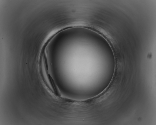X0000097761469200803071244