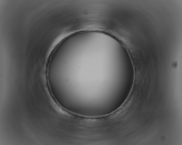 X0000097761470200803071244