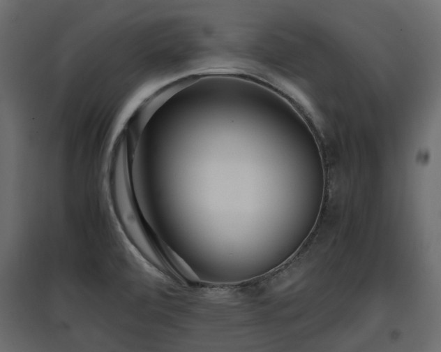 X0000097761472200803071244