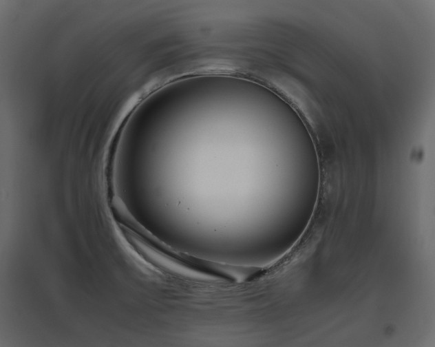 X0000097761475200803071243