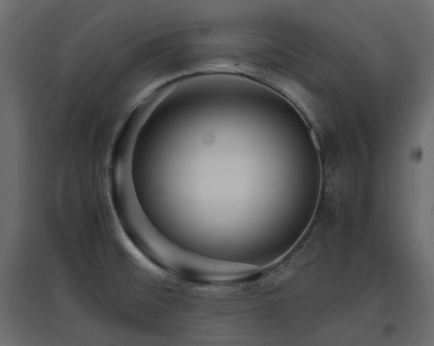 X0000097761476200803071243