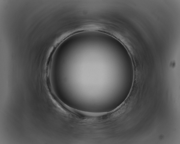X0000097761477200803071243
