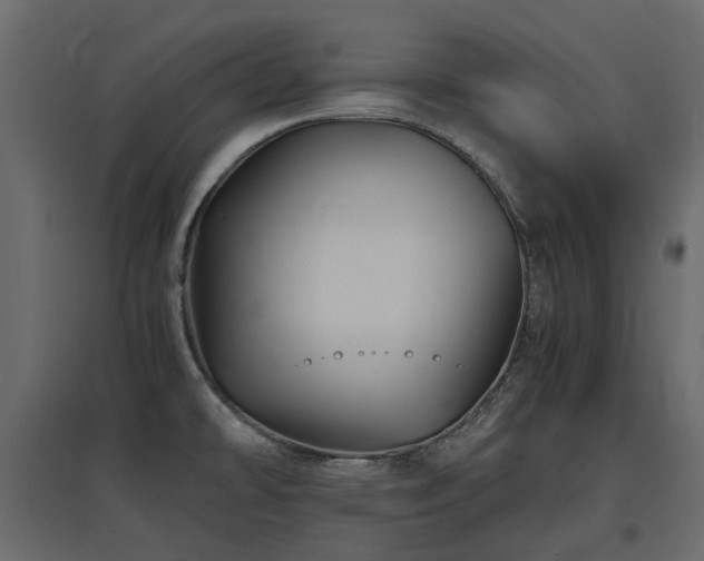 X0000097761478200803071243