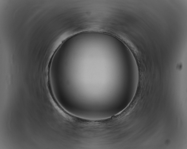 X0000097761479200803071243