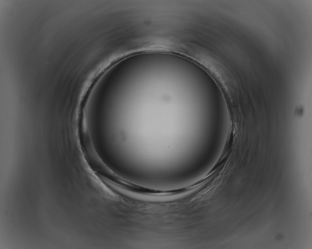 X0000097761480200803071243