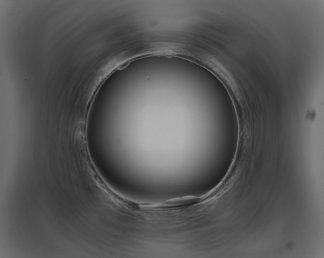 X0000097761481200803071243
