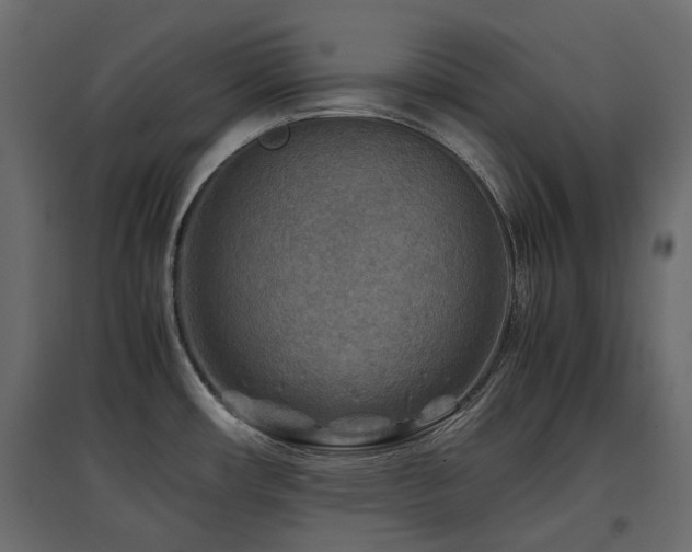 X0000097761482200803071243