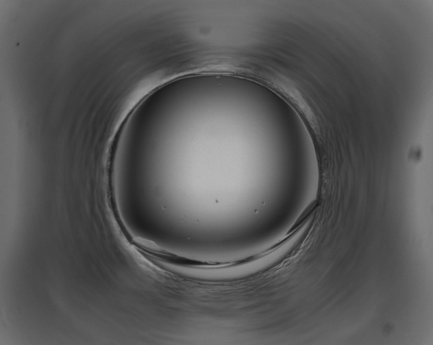 X0000097761483200803071243
