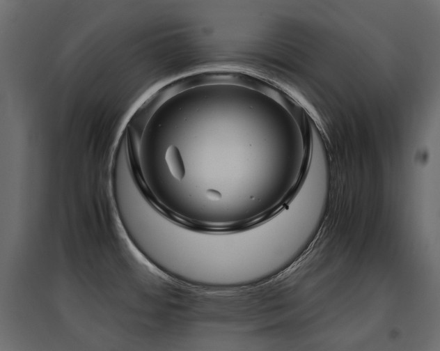 X0000097761484200803071243