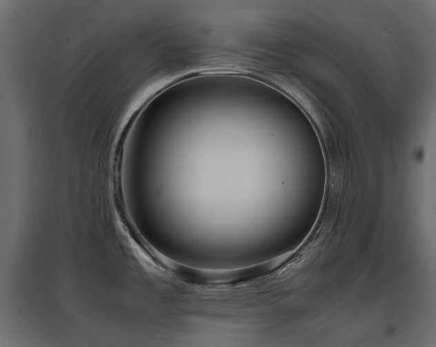 X0000097761485200803071243