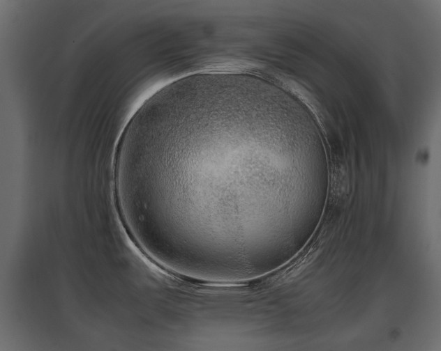 X0000097761487200803071243