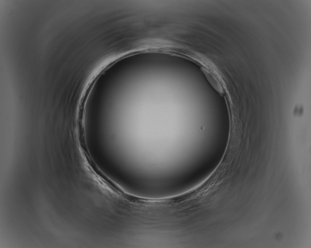 X0000097761488200803071243