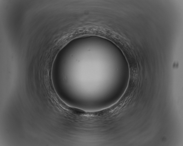 X0000097761489200803071242
