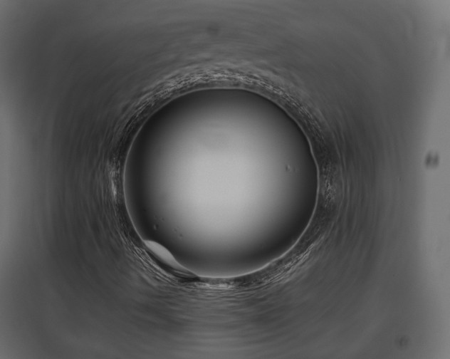 X0000097761490200803071242
