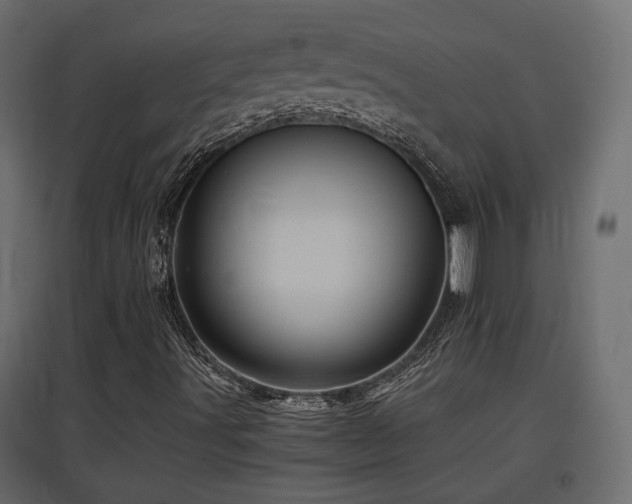 X0000097761491200803071242