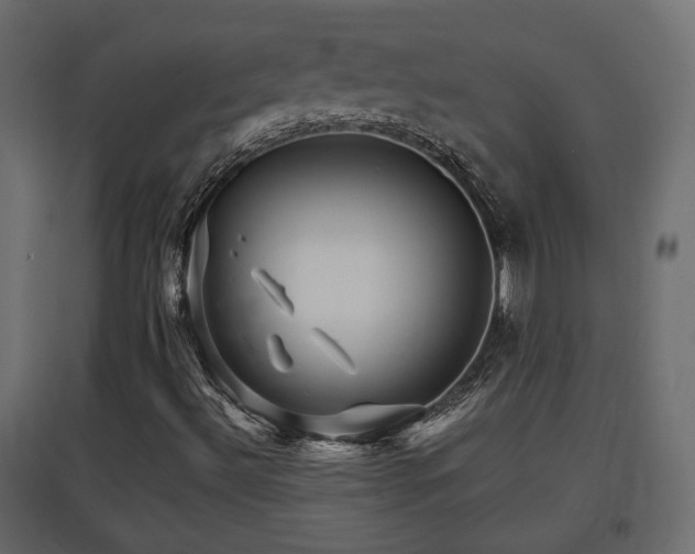 X0000097761492200803071242