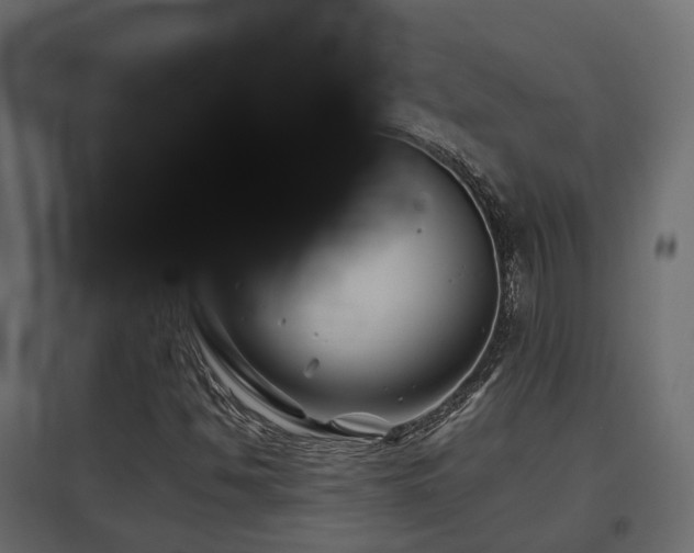 X0000097761494200803071242