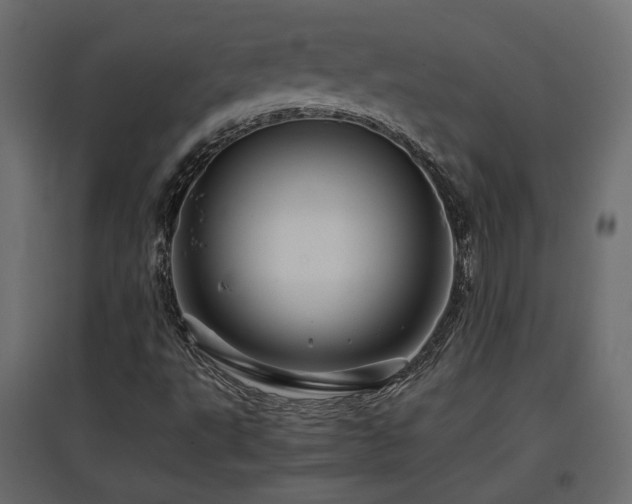 X0000097761495200803071242