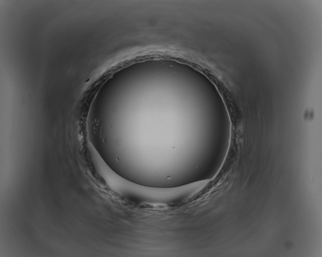 X0000097761496200803071242