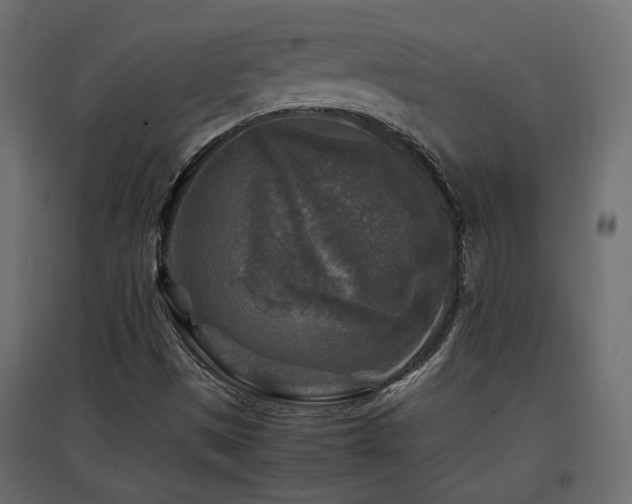 X0000097761497200803071242