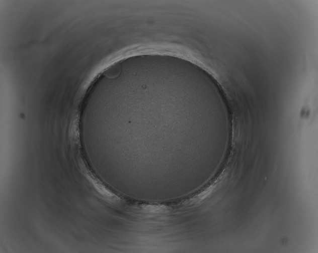 X0000097761498200803071242