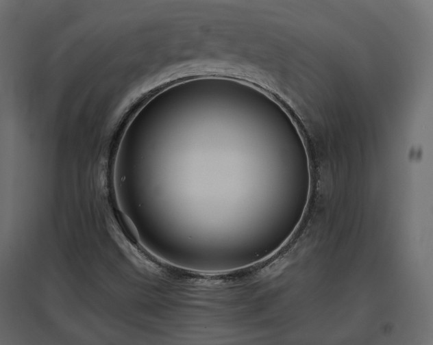 X0000097761499200803071242