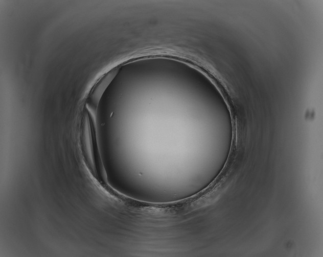 X0000097761500200803071242