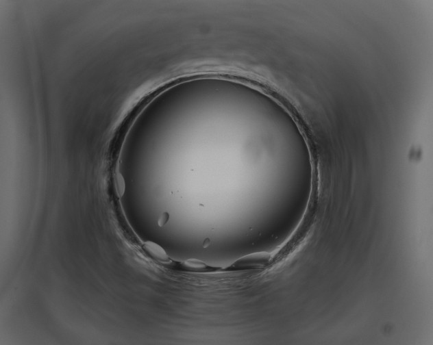 X0000097761501200803071242