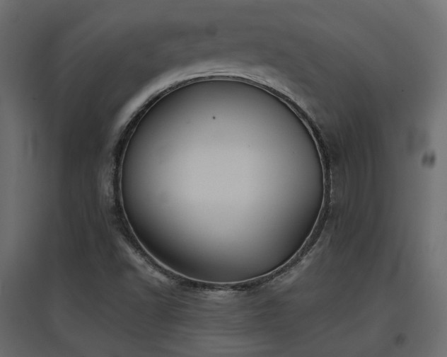 X0000097761502200803071243