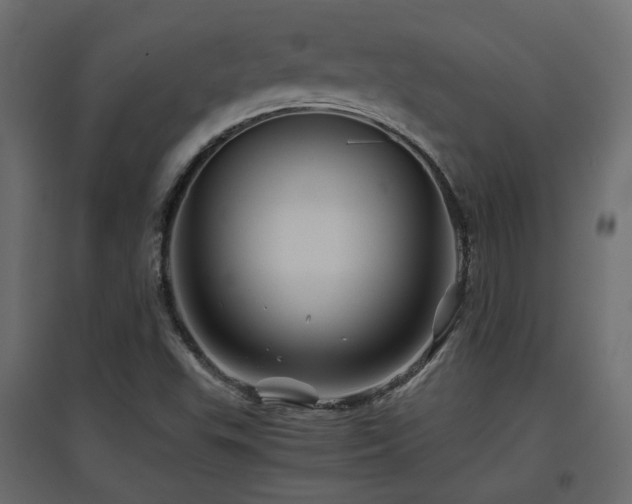 X0000097761503200803071243