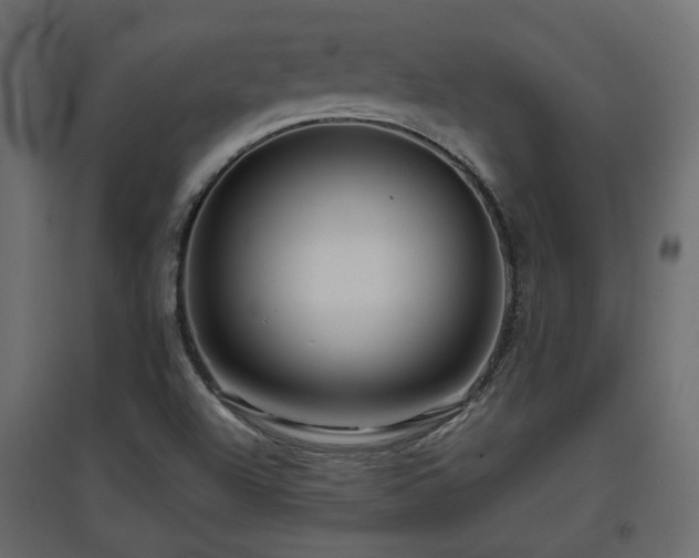 X0000097761504200803071243