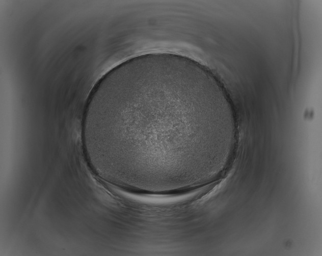 X0000097761505200803071243