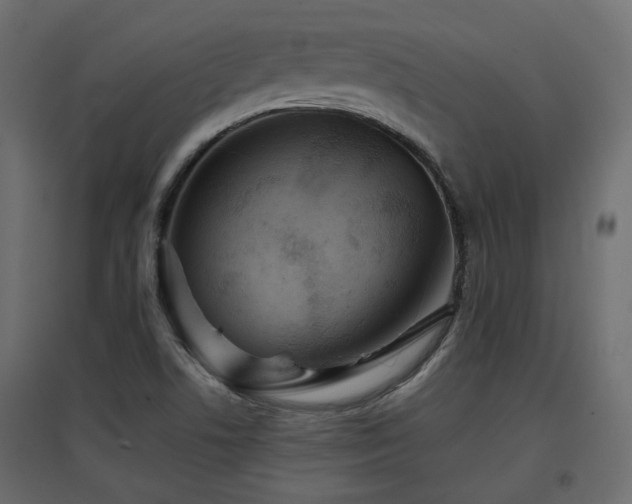 X0000097761506200803071243