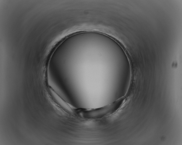 X0000097761507200803071243